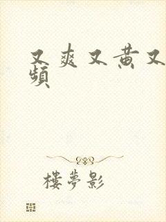 又爽又黄又猛视频