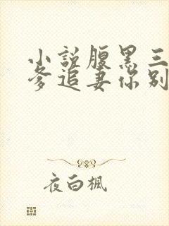 小说腹黑三宝渣爹追妻你别怂小说