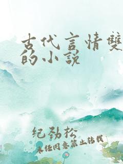 古代言情双男主的小说