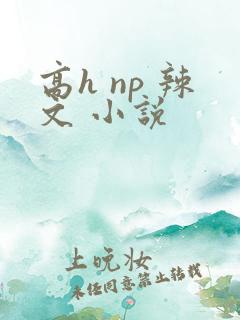 高h np 辣文 小说