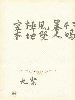 究极风暴4可以本地双人吗