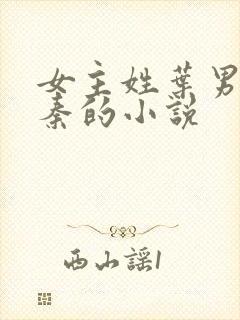 女主姓叶男主姓秦的小说