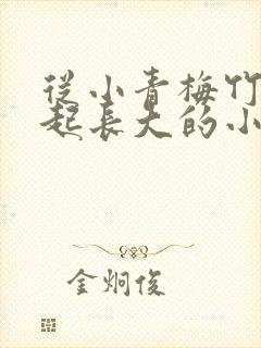 从小青梅竹马一起长大的小说