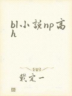 bl小说np高h