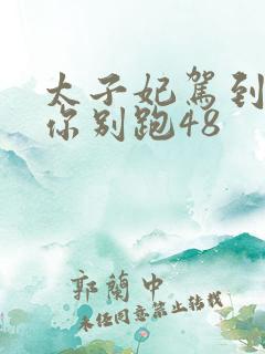 太子妃驾到总裁你别跑48