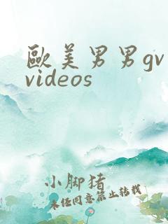 欧美男男gv videos