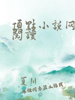 顶点小说网全文阅读