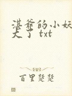 湛爷的小妖精长大了 txt