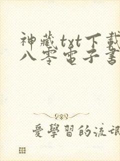 神藏txt下载八零电子书