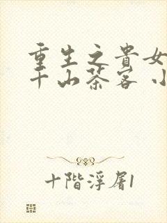 重生之贵女难求千山茶客 小说