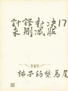 针锋对决17章未删减版