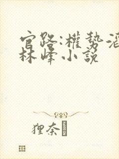 官路:权势滔天林峰小说