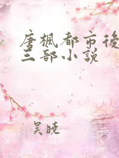 唐枫都市后宫第三部小说