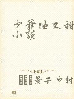 少爷他又甜又野小说