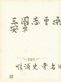 三国志曹操传 安卓