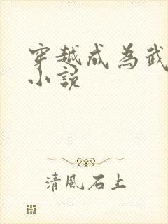 穿越成为武大郎小说