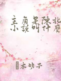 主角是陈北玄的小说叫什么