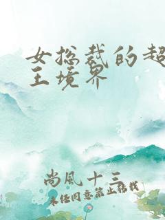 女总裁的超级兵王境界