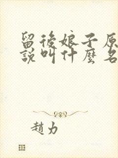 留后娘子原著小说叫什么名字