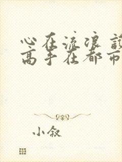 心在流浪 护花高手在都市