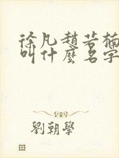 徐凡赵若楠小说叫什么名字