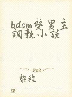 bdsm双男主调教小说