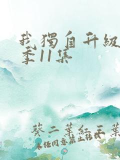 我独自升级第二季11集