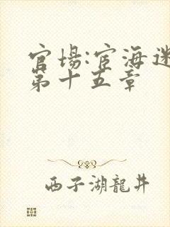 官场:宦海迷途第十五章