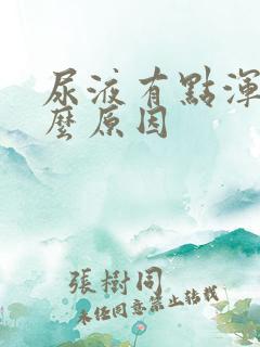 尿液有点浑浊什么原因