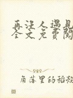 再没人遇见小说全文免费阅读