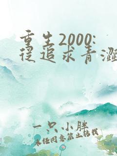重生2000:从追求青涩校花同桌开始阅读全集
