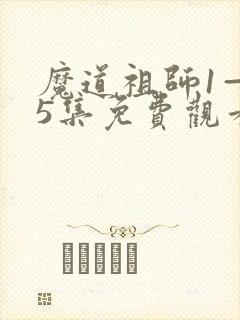 魔道祖师1—35集免费观看