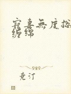 宠妻无度总裁狠缠绵