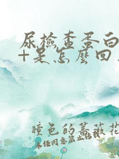 尿检查蛋白质1+是怎么回事