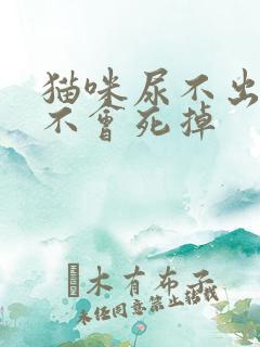 猫咪尿不出来会不会死掉