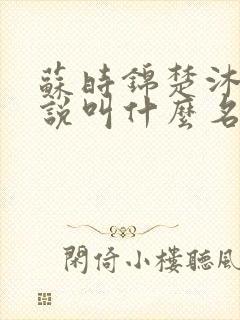 苏时锦楚沐尘小说叫什么名字