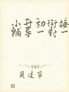 小升初衔接数学辅导一对一