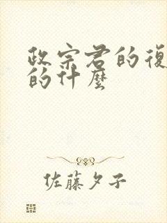 政宗君的复仇讲的什么