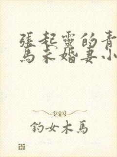 张起灵的青梅竹马未婚妻小说