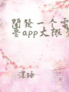 开发一个电商平台app大概多少钱