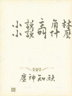 小说主角林辰的小说叫什么