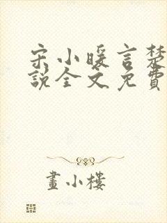 宋小暖言楚行小说全文免费笔趣阁