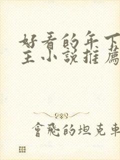 好看的年下双男主小说推荐