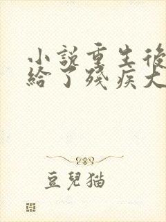 小说重生后我嫁给了残疾大佬完整版