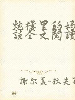 炮楼里的妈妈小说全文阅读