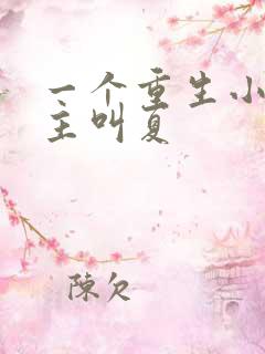 一个重生小说女主叫夏