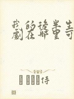 我的后半生电视剧在哪里可以看