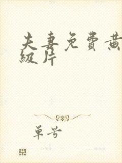 夫妻免费黄色一级片