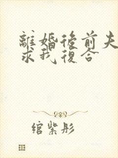 离婚后前夫跪着求我复合