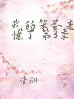 我的笨蛋老婆失忆了 第3季